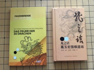 Buchcover Das Feuer der 30 Drachen